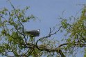2019-04-18 15-52-58 Parc de la Courneuve DLe